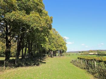 Tour Zu Fuß Dancourt - Circuit de la Rieuse - Photo