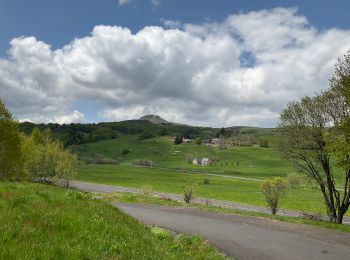 Tour Wandern Besse-et-Saint-Anastaise - Tour du Lac Pavin - Photo