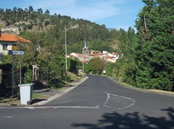 Percorso A piedi Chanonat - Le Puy de Jussat - Photo