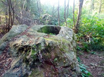 Percorso A piedi Roppolo - Buon Cammino 1 - Photo