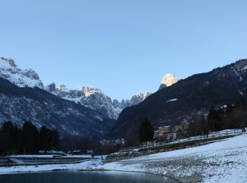 Excursión A pie Molveno - Senter de la Mars - Photo