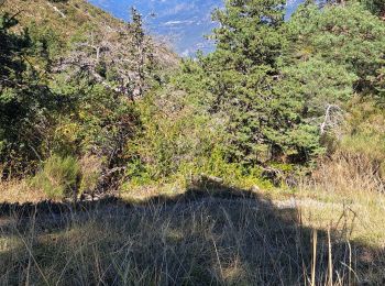 Randonnée Marche Revest-les-Roches - Balme de Vial - Photo