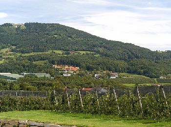 Trail On foot Puch bei Weiz - Ilzbergrunde - Photo