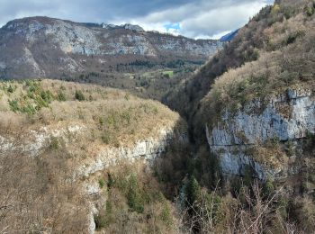 Randonnée Marche Saint-Christophe - 190323 Boucle voie Sarde - Photo