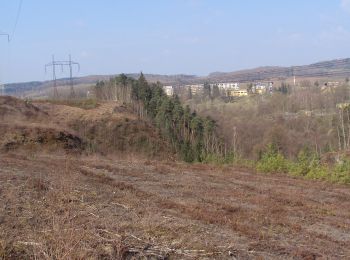 Randonnée A pied Zákupy - NS Zákupy - Photo