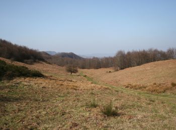 Tour Zu Fuß Marradi - L’Acquacheta e il Monte Lavane - Photo