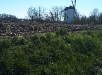 Excursión Senderismo Walhain - Walhain-Saint-Paul _ Marche privée  - Photo