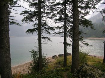 Trail On foot Tarvisio - Giro del Lago - Photo