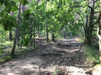 Tocht Stappen Beauzac - Chapelle du Fraisse - Photo