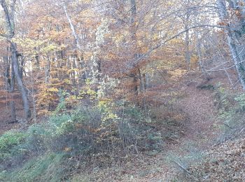 Tocht Stappen Piégros-la-Clastre - puyjovent par le collet - Photo