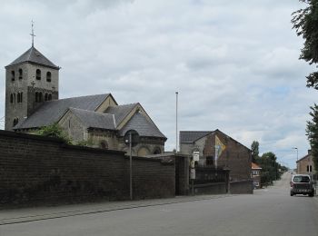 Percorso A piedi Tongeren - Mal - Photo