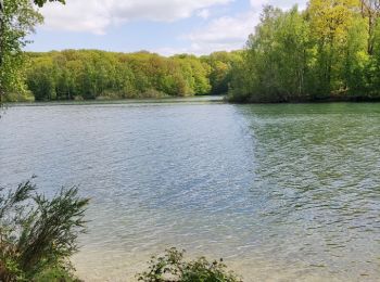 Tour Wandern Froidchapelle - La balade du bois du Grand Oupia aux lacs de l'eau d'heure - Photo