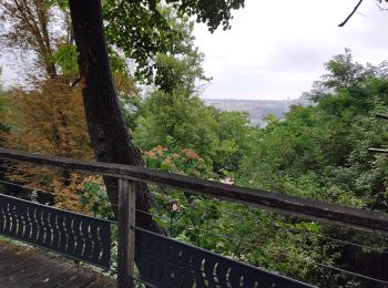 Tocht Stappen Meudon - Le PR8 de Meudon à Suresnes - Photo