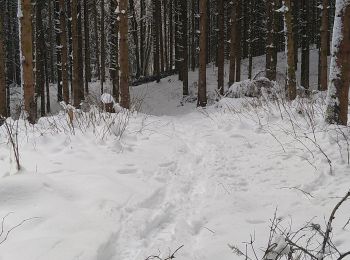 Tour Schneeschuhwandern Charix - Col du sentier- Lac Genin - Photo