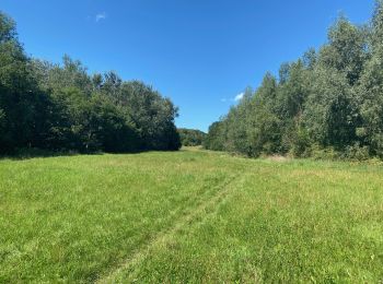 Tocht Stappen Hoeilaart - S-GR Groene Gordel: Groenendaal - Tervuren - Photo