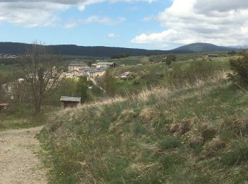 Tour Wandern Eyne - Orri del Baix - Photo