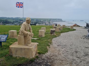 Tocht Stappen Saint-Côme-de-Fresné - st Côme de frene - Photo