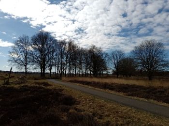 Tocht Wegfiets Aa en Hunze - schoonloo - Photo