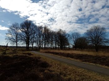 Tour Rennrad Aa en Hunze - schoonloo - Photo