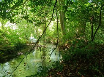 Excursión Marcha nórdica Le Drennec - le drenec. Loc brevelaire  - Photo