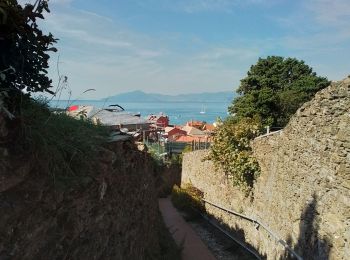 Randonnée Marche Sestri Levante - Sestri Levante - Photo