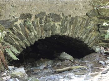 Randonnée A pied Melsbach - Rheinsteig-Zuweg Melsbach - Photo