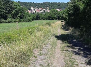 Excursión Senderismo Tourzel-Ronzières - tourzel - Photo