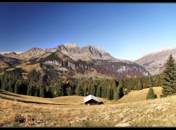 Tocht Stappen Praz-sur-Arly - Tête du Torraz - Photo