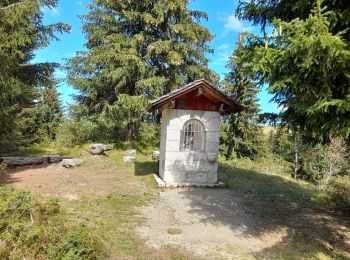 Trail Walking Manigod - ARAVIS: PLATEAU DE BEAUREGARD - Photo