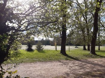 Percorso Marcia Rueil-Malmaison - rueil malmaison parc de bois Préau - Photo