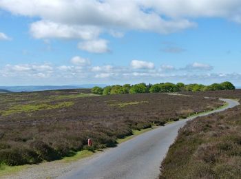 Tocht Te voet  - Pole Bank Walk - Photo