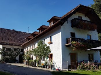 Tocht Te voet Taching am See - Barfußwanderweg - Photo