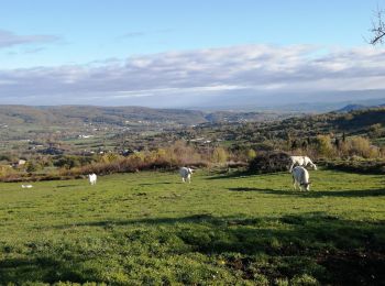 Tour Wandern Saint-Bauzile - Saint bauzille  - Photo