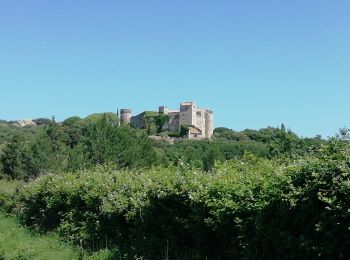 Trail Mountain bike La Capelle-et-Masmolène - 30-vtt-lacapelle-St-Siffret-25km-230m-juin21 - Photo