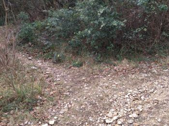 Randonnée Marche Cruas - 07 cruas st Vincent de barres - Photo