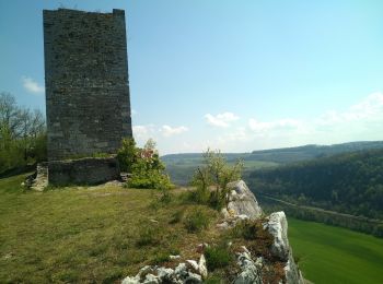 Tour Wandern Avanne-Aveney - Avanne Aveney 2021-04-20 (IIBP 61) CAF - Photo