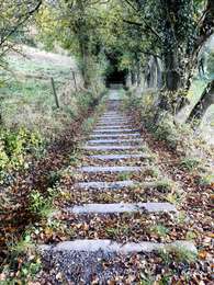 Trail Walking Olne - Balade des grès de Vaux   - Photo