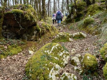 Tocht Stappen Coly-Saint-Amand - coly300322 - Photo