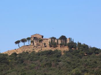 Excursión A pie Tuoro sul Trasimeno - Sanguineto - Monte Gualandro - Photo