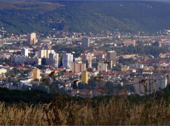 Excursión A pie okres Košice I - Vrabčie skaly - Photo