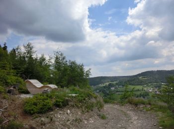 Trail On foot Warmensteinach - Warmensteinach Rundwanderweg Nr. 1 - Photo