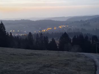 Trail Walking Jougne - La poyette - Photo