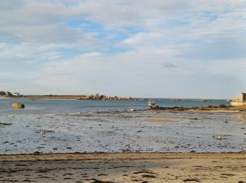 Excursión Senderismo Plounéour-Brignogan-Plages - Brignogan calvaire - Photo