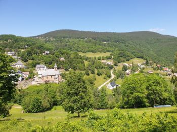 Randonnée Marche Labaroche - Autour du château du Petit Hohnack - Photo