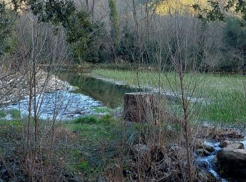 Randonnée Marche Pégairolles-de-Buèges - seranne, pontel, pegairolles de bueges, et source de la bueges - Photo