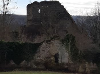 Randonnée Marche Anneyron - Chateau de Mantaille - Photo