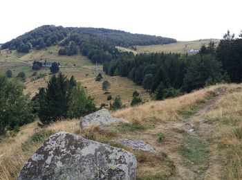 Randonnée Marche Wasserbourg - Au pied du Petit Ballon par le sentier Hertzog - Photo