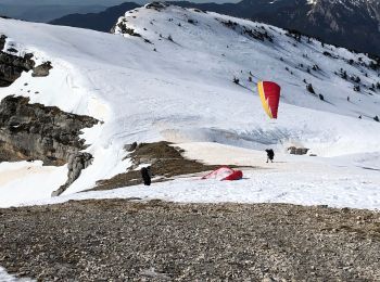 Tour Wandern Plateau-des-Petites-Roches - Dent de Crolles solo - Photo