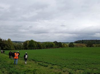 Excursión Senderismo Marigny-en-Orxois - Marigny  en Orxois du 08/10/2020 - Photo