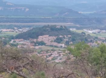 Trail Walking Peipin - PEIPIN . PAR LES CHEMINS ABANDONNÉS DE PEIPIN O L S - Photo